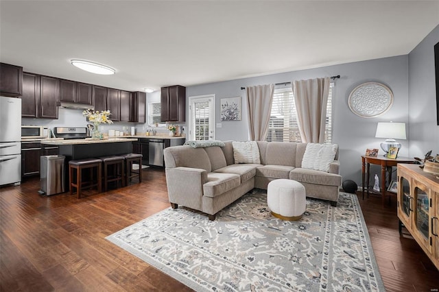 living area featuring dark wood-type flooring