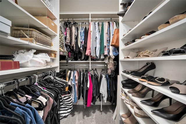 spacious closet featuring carpet flooring