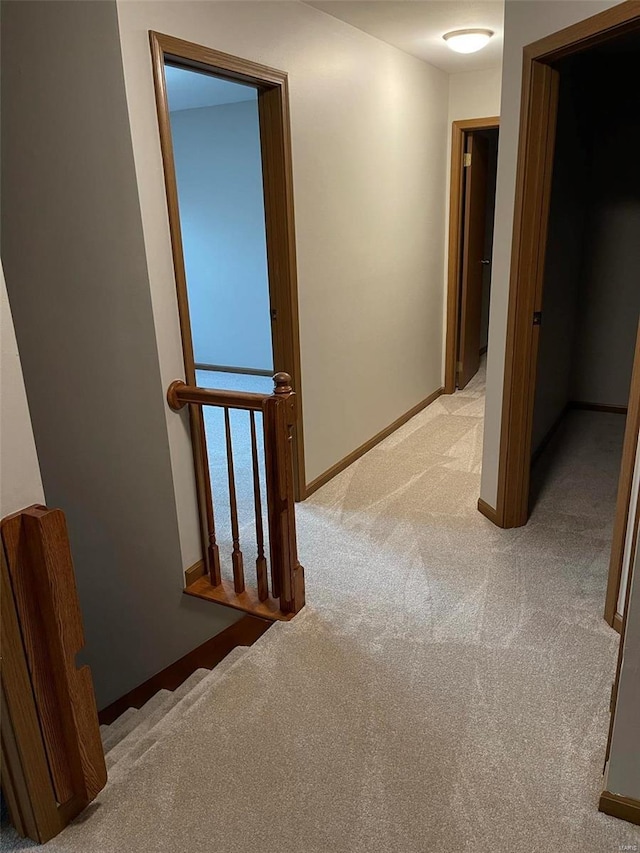 corridor with carpet and baseboards