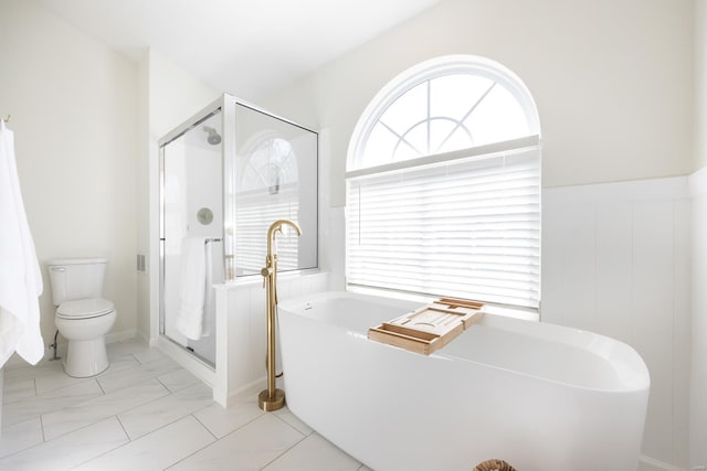 bathroom featuring toilet, a shower stall, and a wealth of natural light