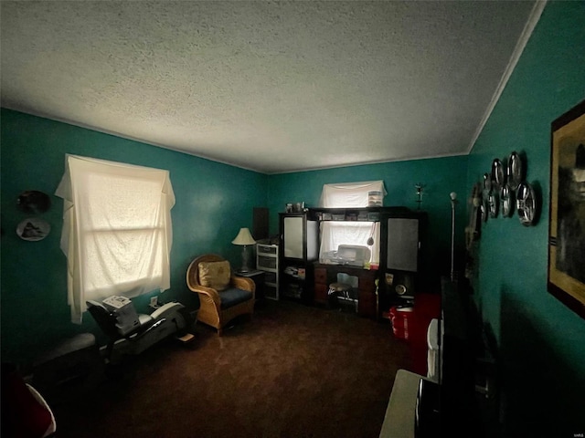 interior space featuring a textured ceiling and carpet flooring