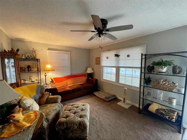 living area featuring crown molding, carpet flooring, ceiling fan, and a textured ceiling