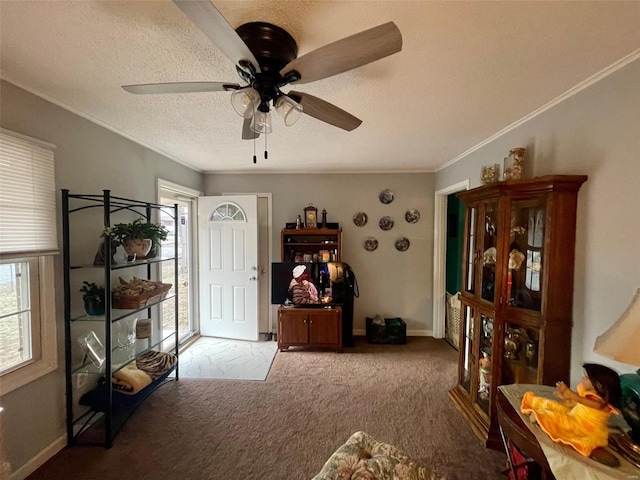 interior space with a textured ceiling, baseboards, carpet flooring, and crown molding