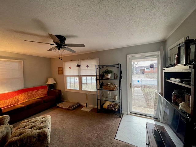 living area featuring ornamental molding, ceiling fan, and a textured ceiling