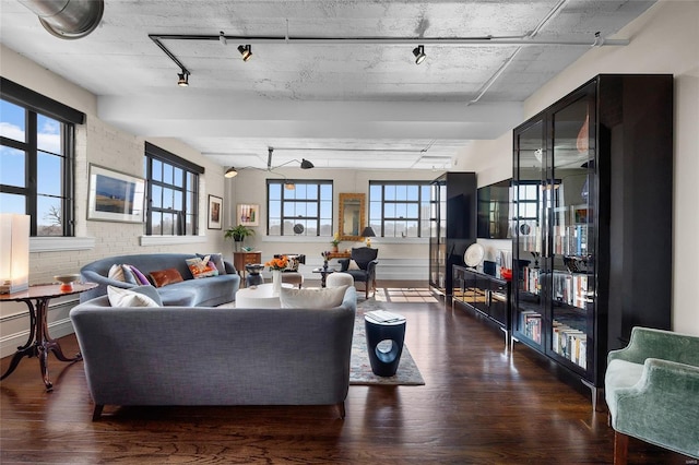 living area featuring dark wood-style floors, brick wall, a healthy amount of sunlight, and track lighting