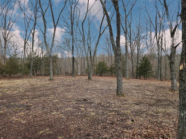 view of nature with a view of trees