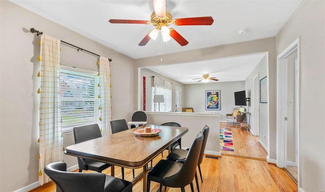 dining room featuring light wood-type flooring, a wealth of natural light, and baseboards