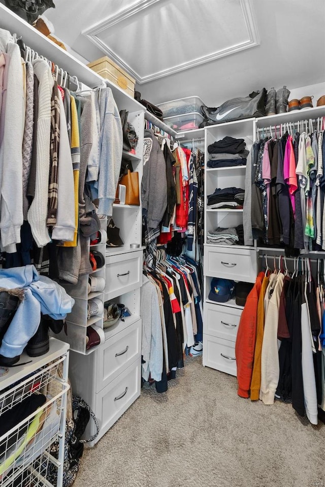 walk in closet featuring light carpet