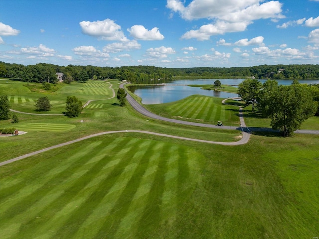 view of property's community featuring a forest view, a lawn, and a water view