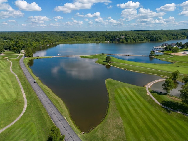 drone / aerial view featuring a water view and a wooded view