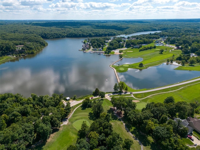 bird's eye view featuring a water view and a wooded view