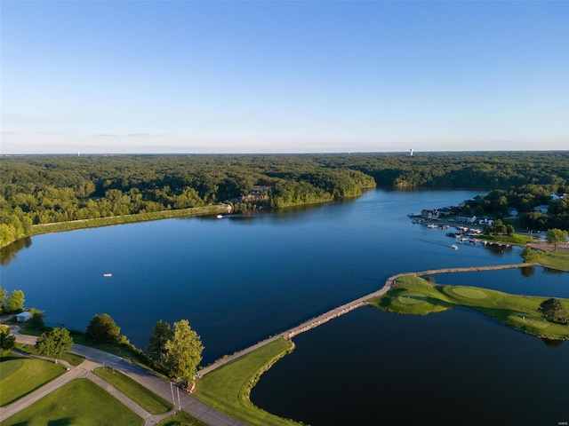 aerial view featuring a water view and a view of trees