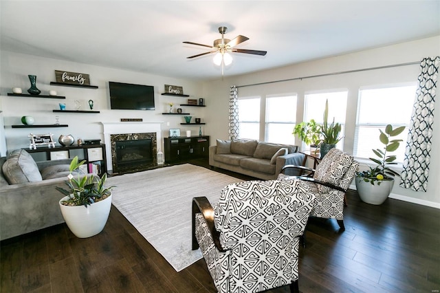 living room featuring a wealth of natural light, a premium fireplace, and dark wood-type flooring