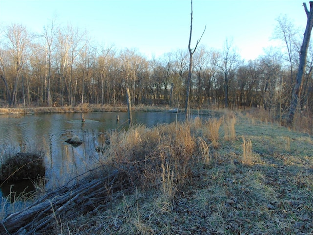 water view featuring a wooded view