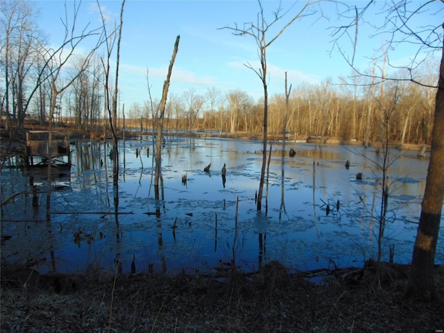 view of yard with a water view