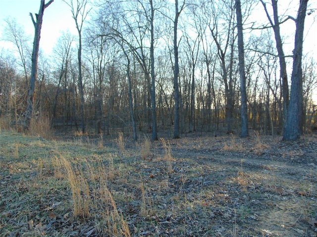 view of landscape