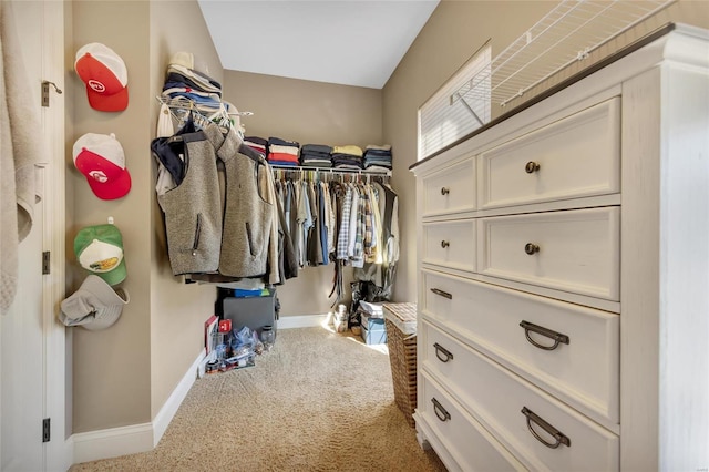 walk in closet with carpet flooring