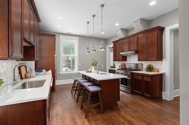 kitchen with under cabinet range hood, a kitchen island with sink, stainless steel range, and a sink