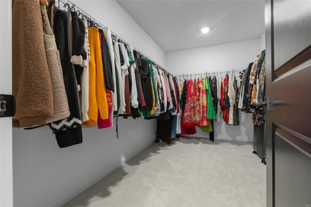 spacious closet featuring carpet