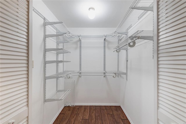 walk in closet featuring wood finished floors