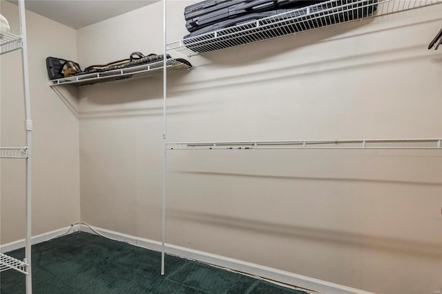 spacious closet featuring dark colored carpet