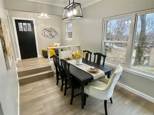 dining room featuring plenty of natural light, wood finished floors, and baseboards