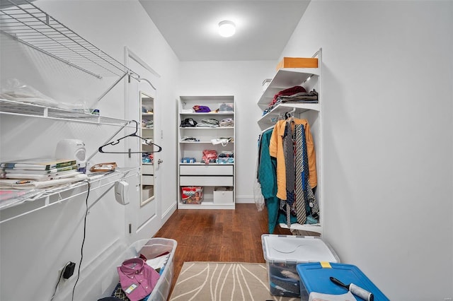 spacious closet featuring wood finished floors