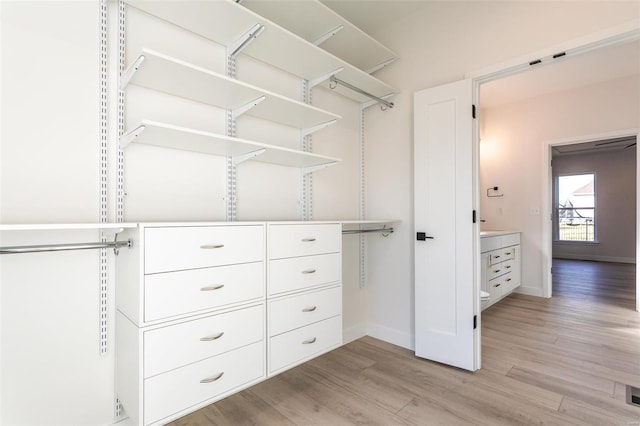 walk in closet with light wood-style floors