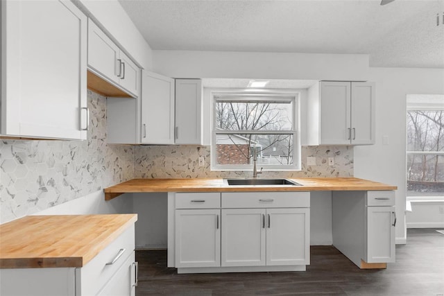 kitchen featuring butcher block countertops, a wealth of natural light, a sink, and decorative backsplash