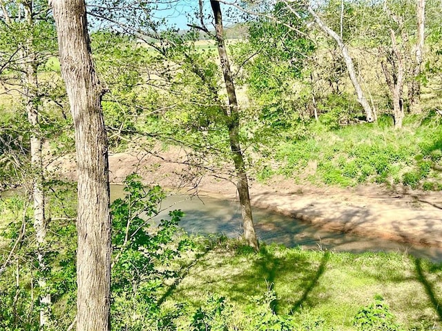 view of local wilderness with a wooded view