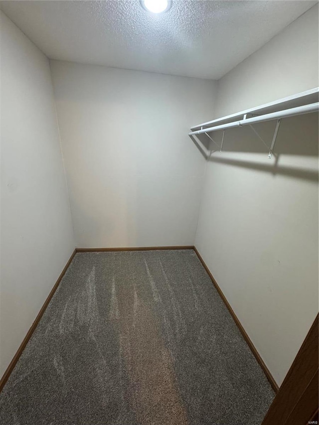 walk in closet with carpet