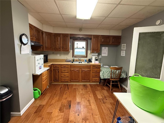 kitchen featuring light wood-style flooring, light countertops, a paneled ceiling, under cabinet range hood, and a sink