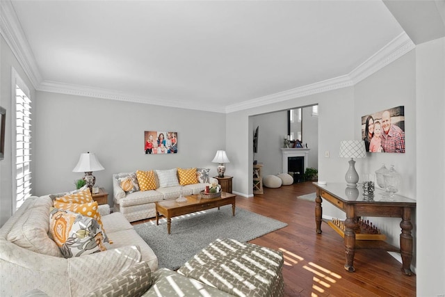 living room featuring wood finished floors, a fireplace, baseboards, and ornamental molding