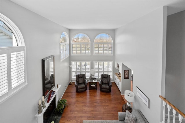 living area with a high ceiling and wood finished floors