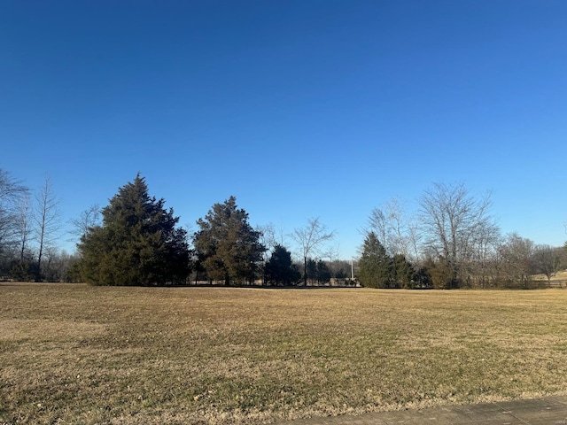 Listing photo 3 for 0 Paradise Ln, Poplar Bluff MO 63901