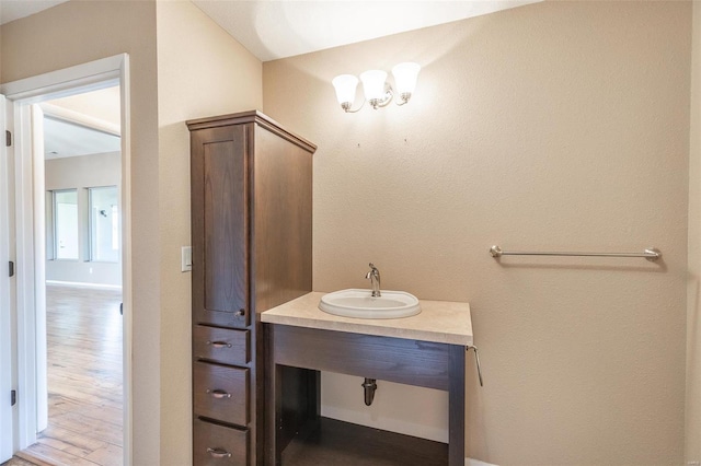 bathroom featuring wood finished floors and a sink