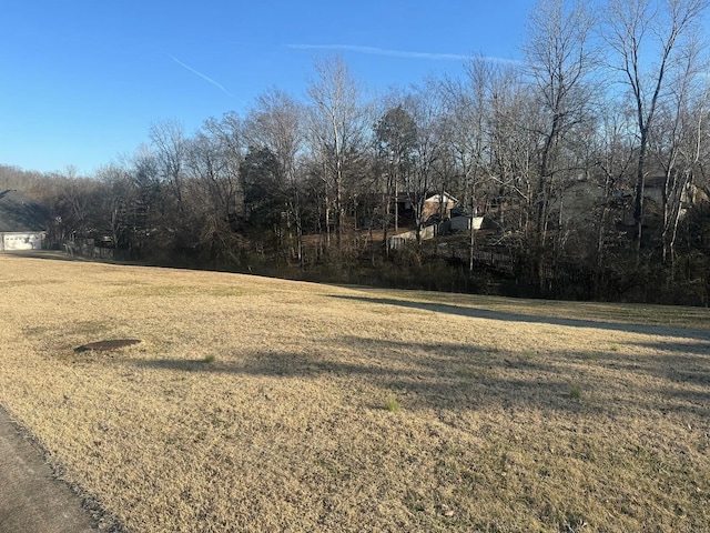 0 Paradise Ln, Poplar Bluff MO, 63901 land for sale