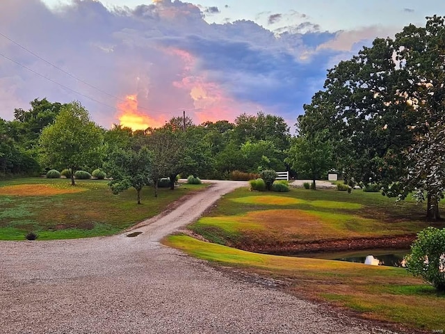 view of property's community with gravel driveway and a lawn