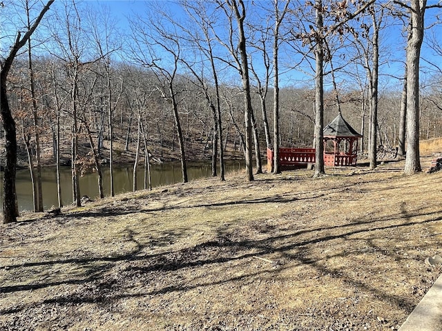 view of yard featuring a wooded view and a water view