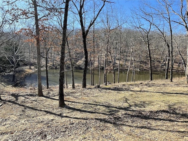 view of water feature featuring a forest view