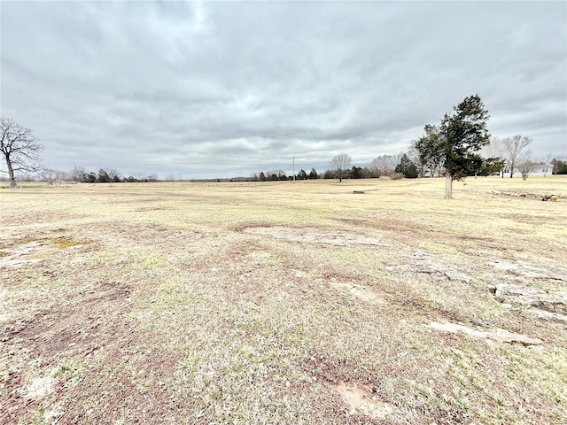 view of yard featuring a rural view