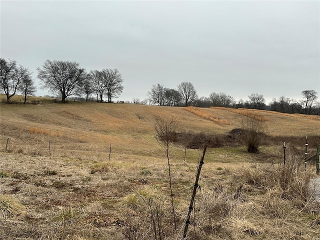 view of local wilderness with a rural view