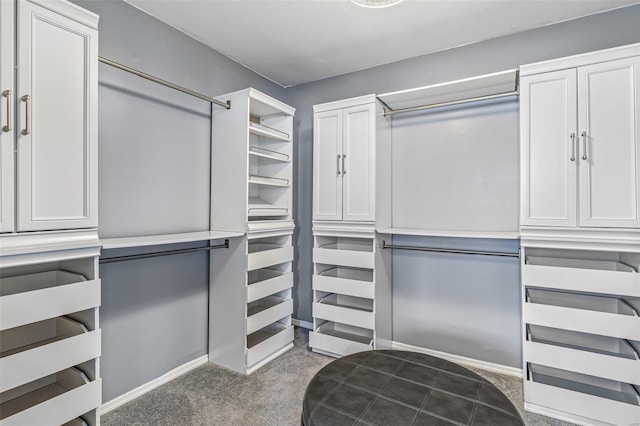 walk in closet featuring carpet flooring