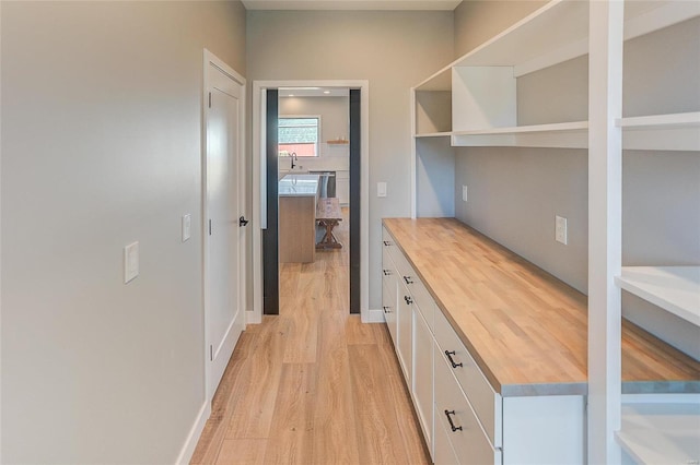 interior space with light wood-type flooring