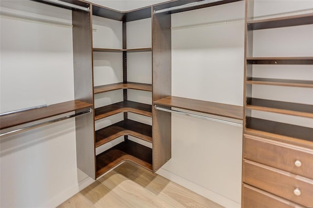 spacious closet featuring light wood-style floors