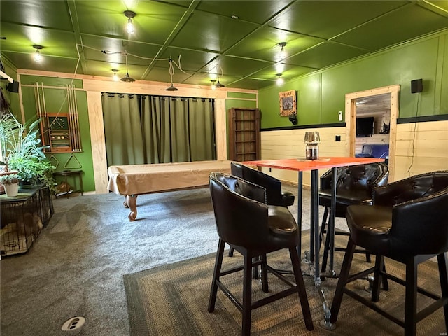 recreation room featuring carpet floors