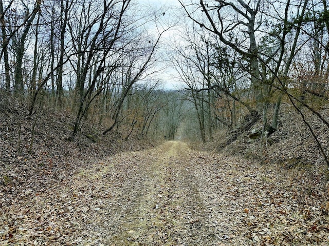 view of road