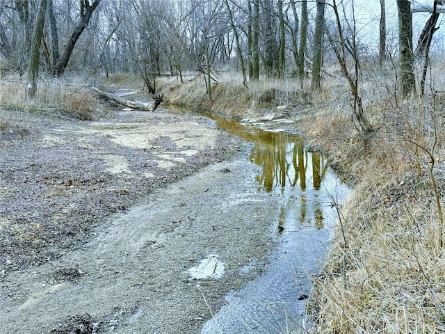 view of nature