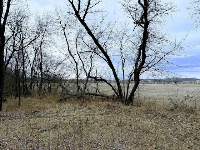 view of landscape