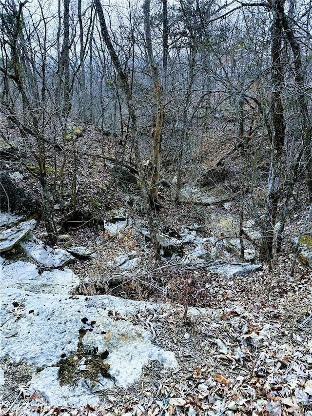 view of landscape featuring a view of trees